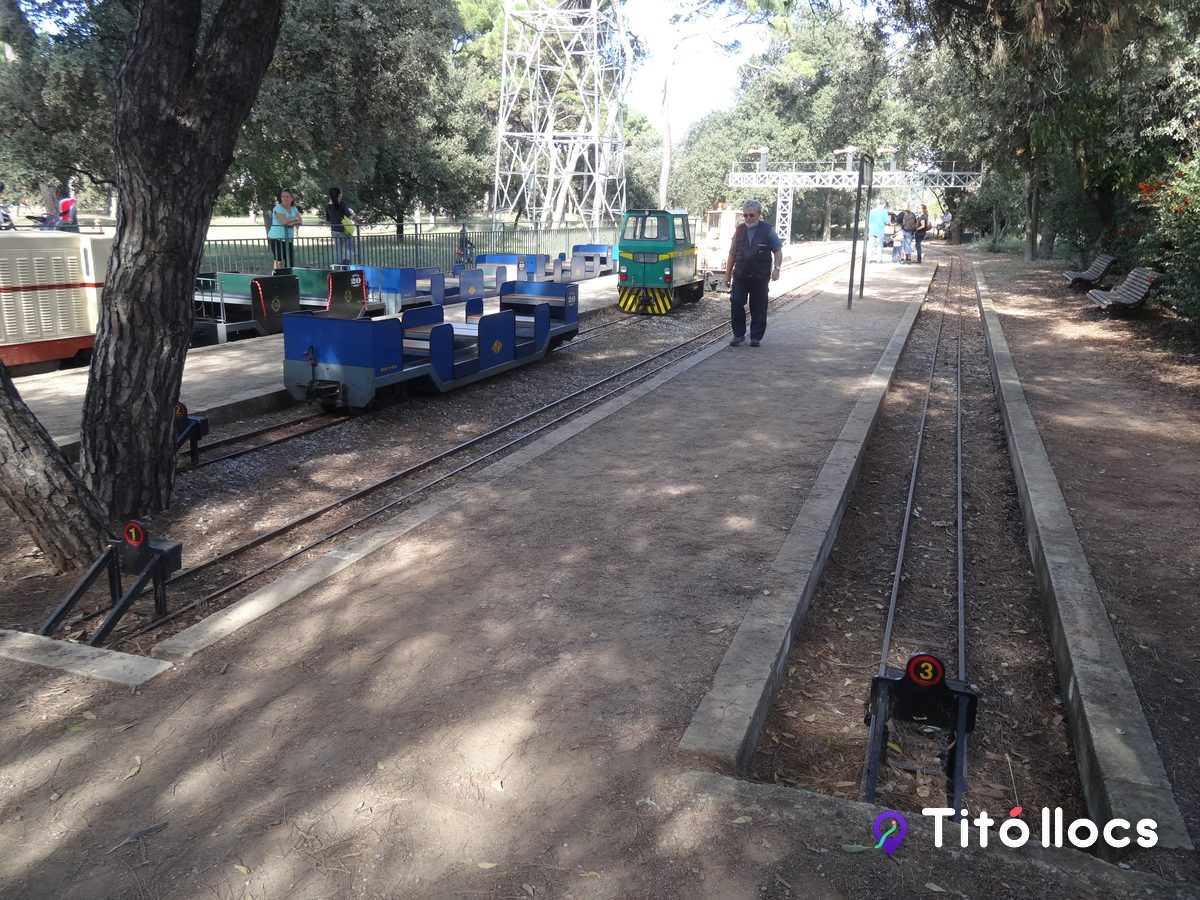 Vagons i via del Tren de Palau, entre els pins del parc