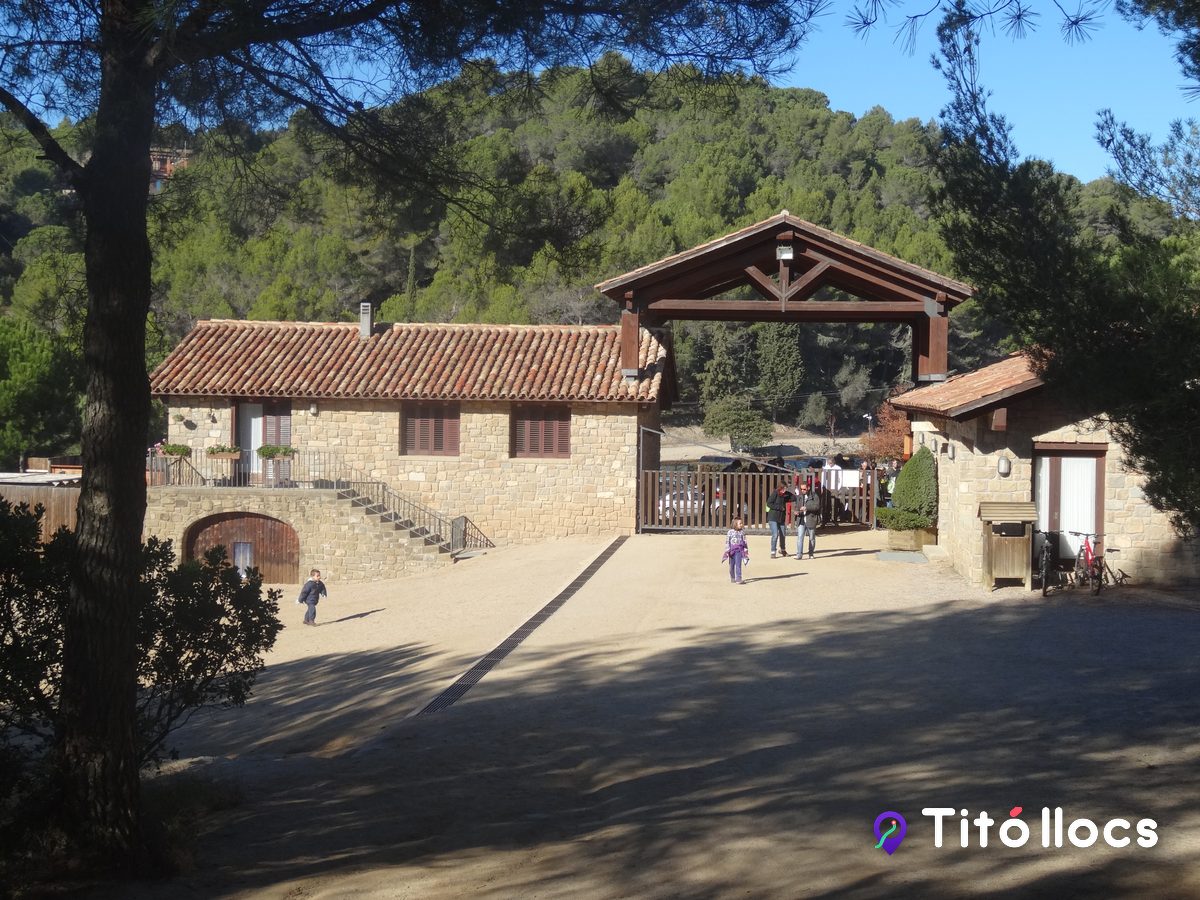 Cim d'Àligues, Rapinyaires en vol a Sant Feliu de Codines