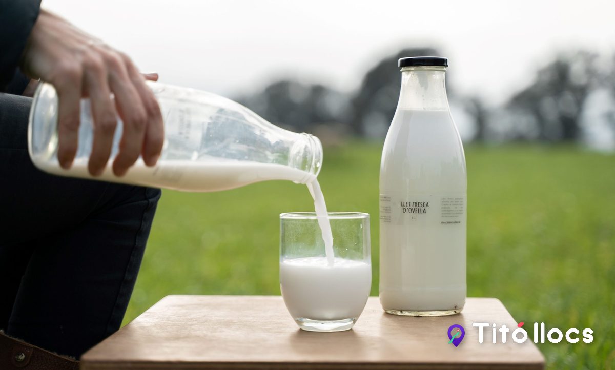 Llet fresca d'ovella servida a la taula de la granja Mas Casas