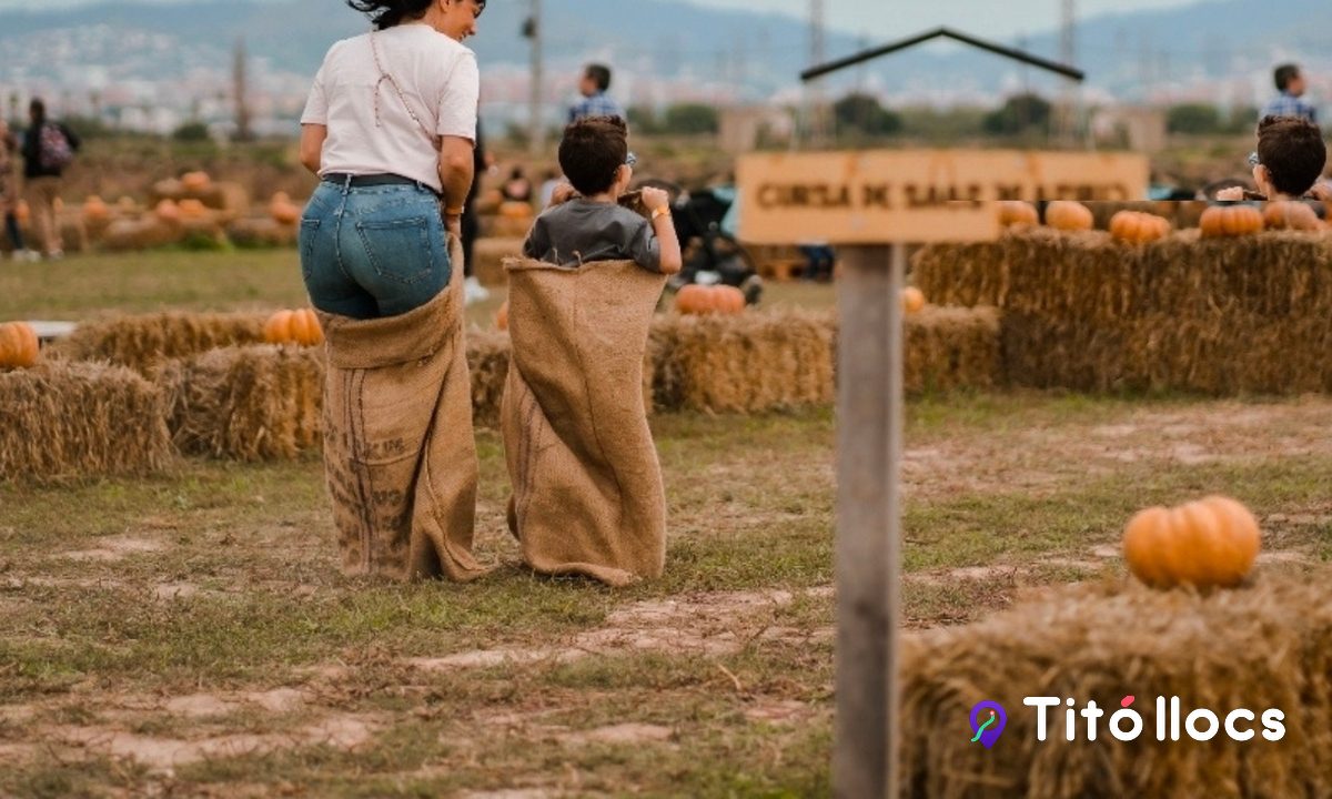 Unes criatures fan la cursa de sacs entre les carabasses