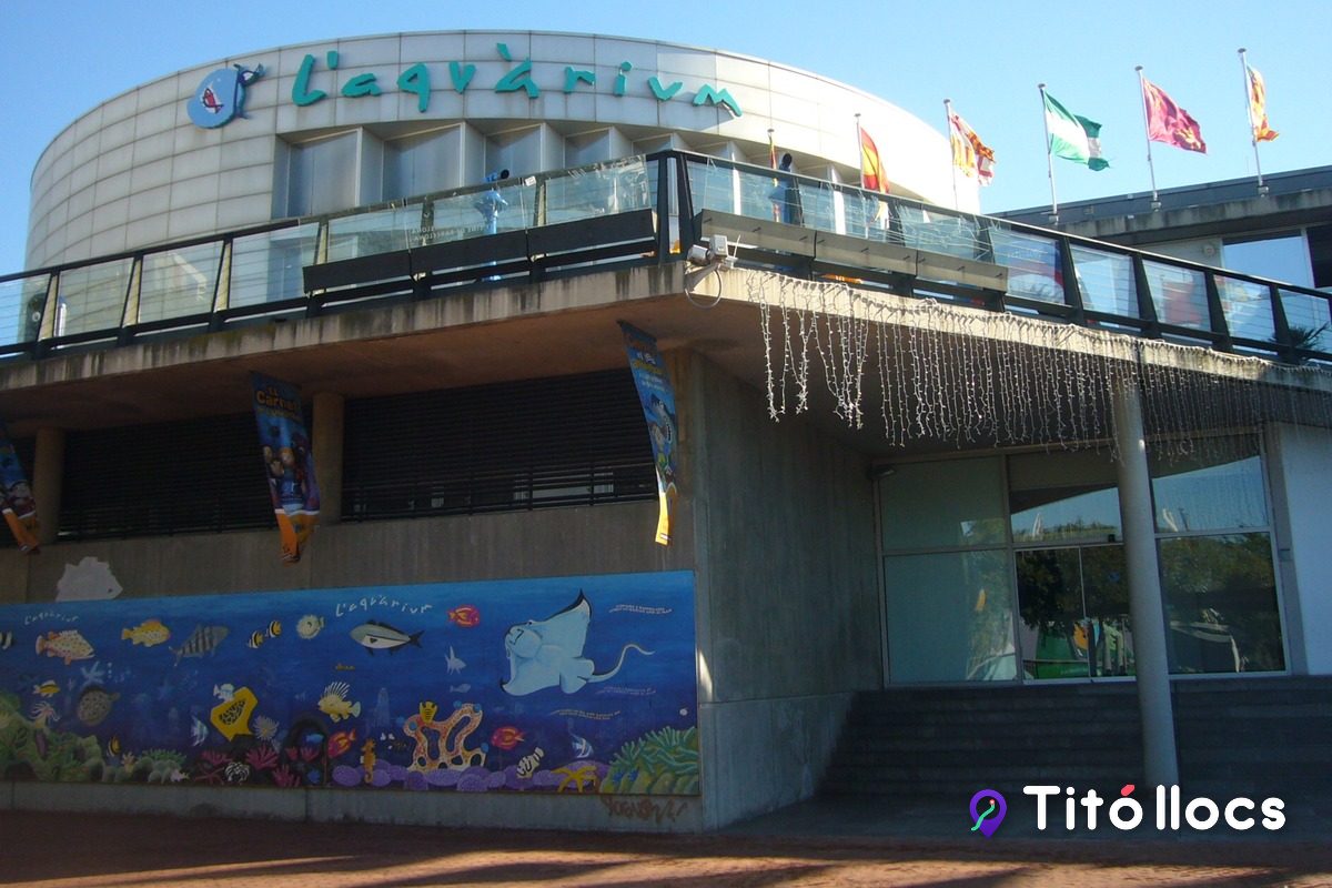 L'Aquàrium de Barcelona, Passar a peu per sota dels taurons del Port Vell