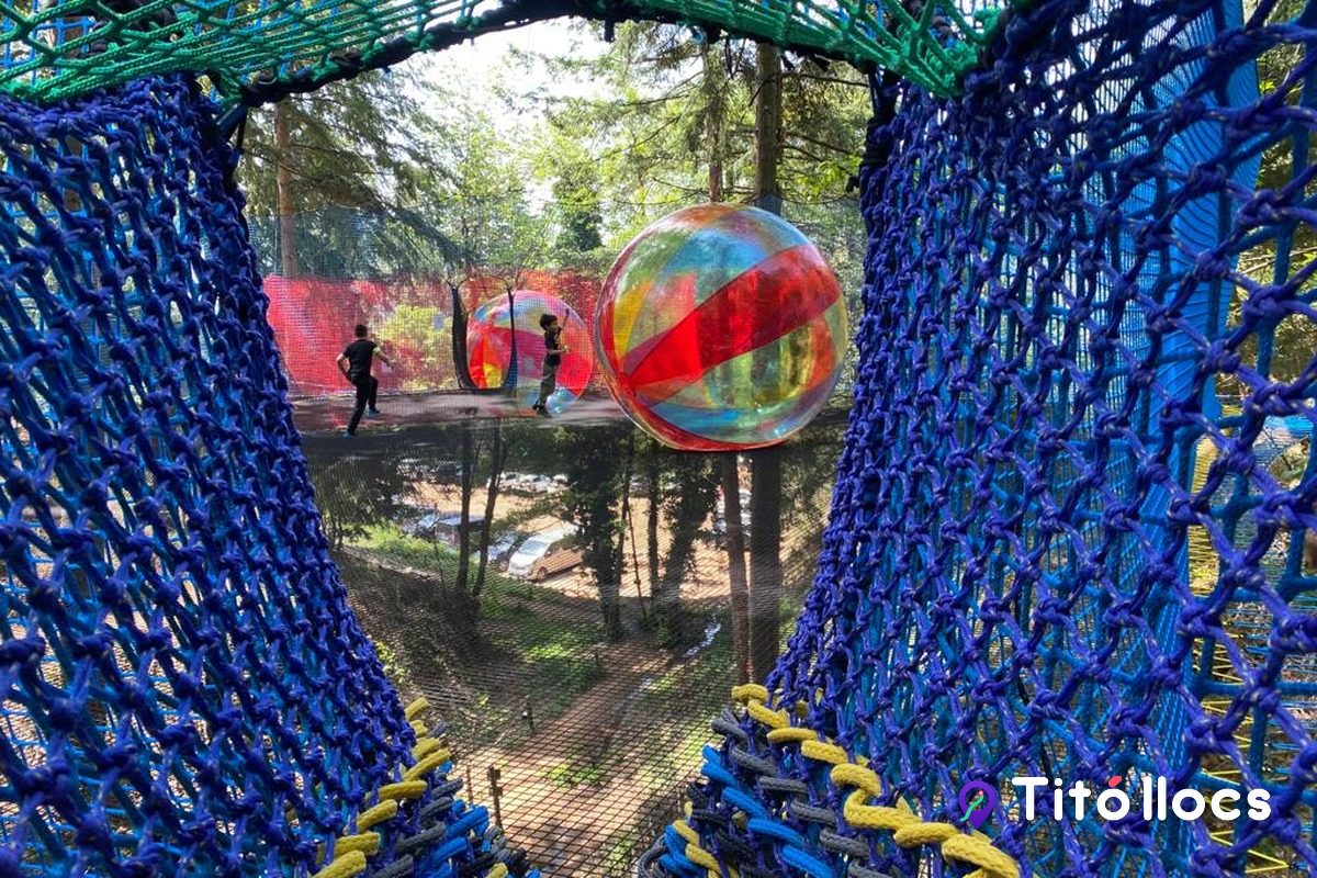 La Selva de l'Aventura, Xarxes, circuits i tirolines enmig del bosc