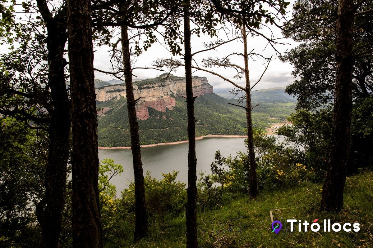 Espai Natural de les Guilleries-Savassona, Bosc, cingles i el pantà de Sau per explorar