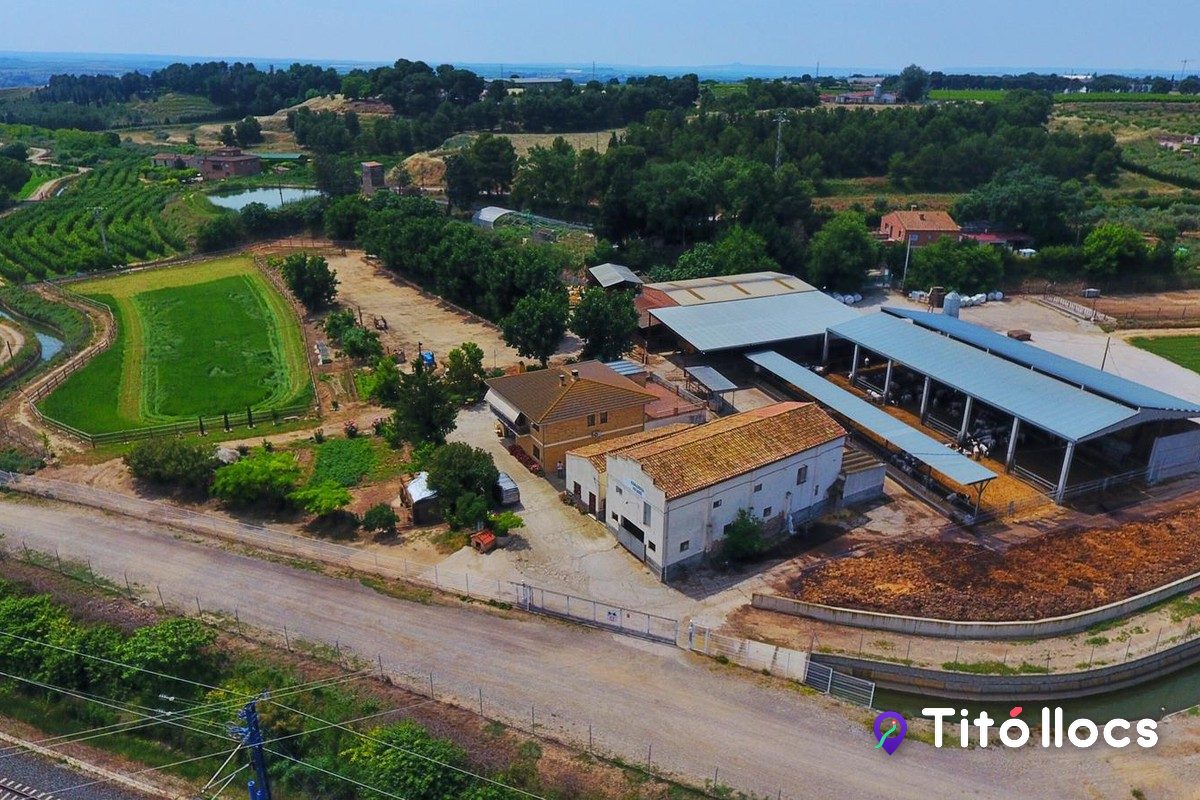 Granja Pifarré, La granja de l'Horta de Lleida que ensenya el camp
