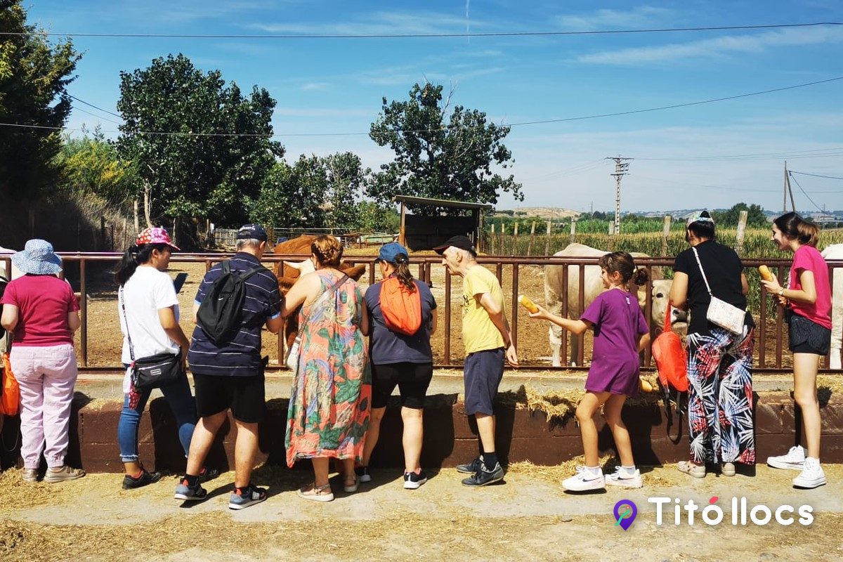 Visita guiada davant dels estables de la Granja Pifarré