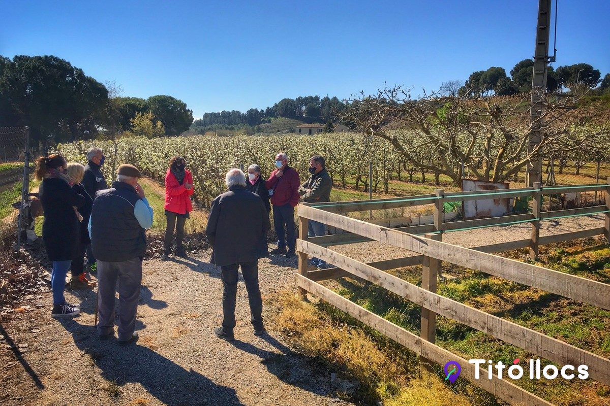 Passejada pels camps de fruiters de l'horta de Lleida