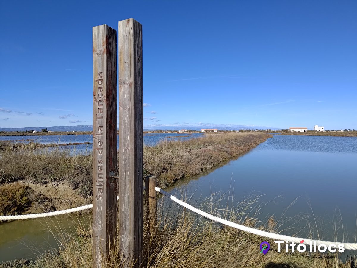 MónNatura Delta de l'Ebre, Salines, flamencs i mirador 360º al Delta de l'Ebre