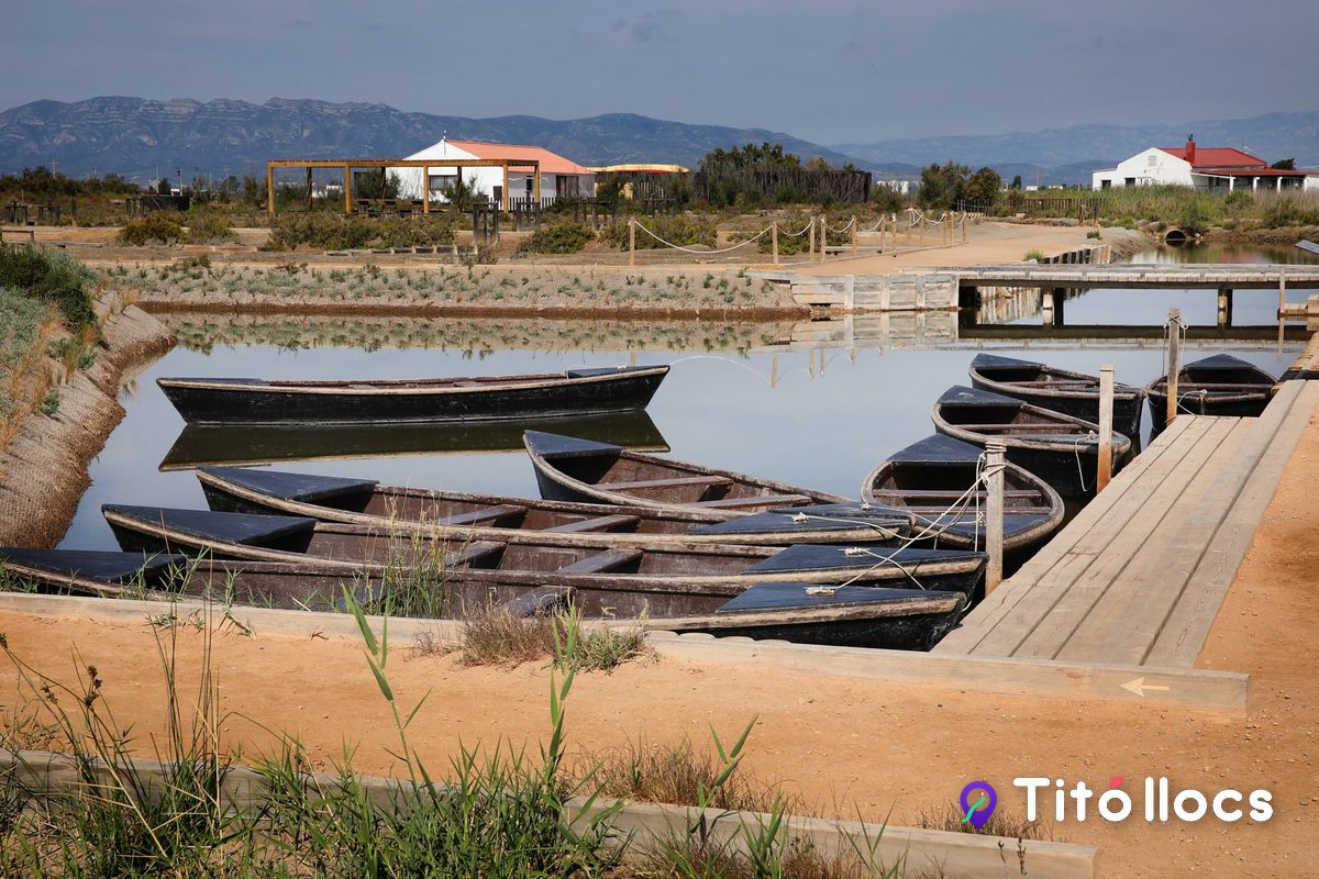 Barques de perxar tradicionals amarrades a la riba, a MónNatura Delta de l'Ebre