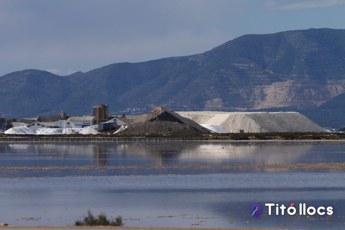 Muntanyes de sal de les Salines de la Trinitat amb el massís del Montsià al fons, al Delta de l'Ebre