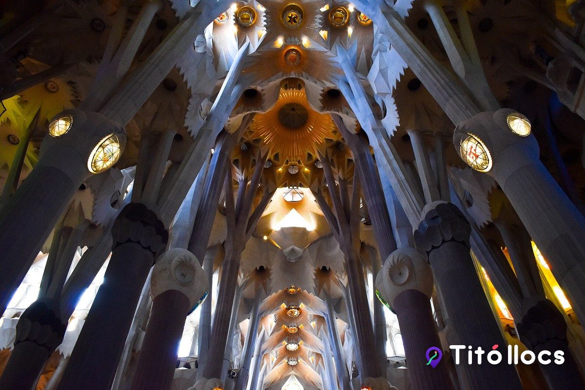 Bosc de columnes inclinades de la nau de la Sagrada Família, que s'obren com arbres