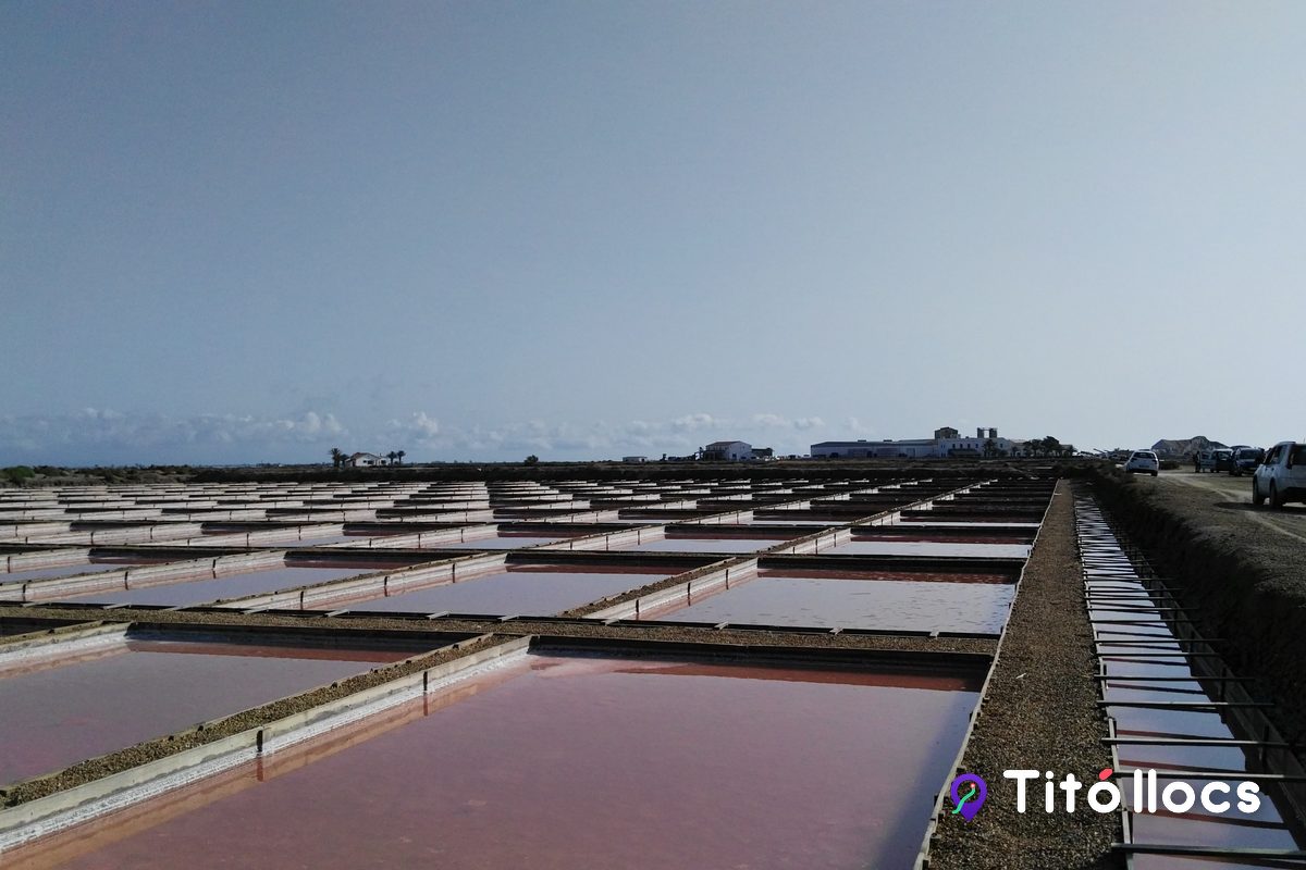 Salines de la Trinitat, L'única salina marina activa de Catalunya