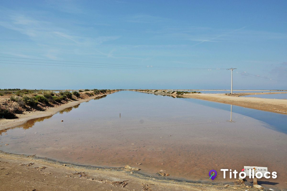 Vista aèria de les basses de les Salines de la Trinitat, a la punta de la Banya
