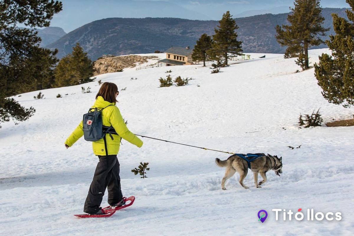 Persona amb raquetes de neu caminant amb un gos de trineu, a Cau de Llops