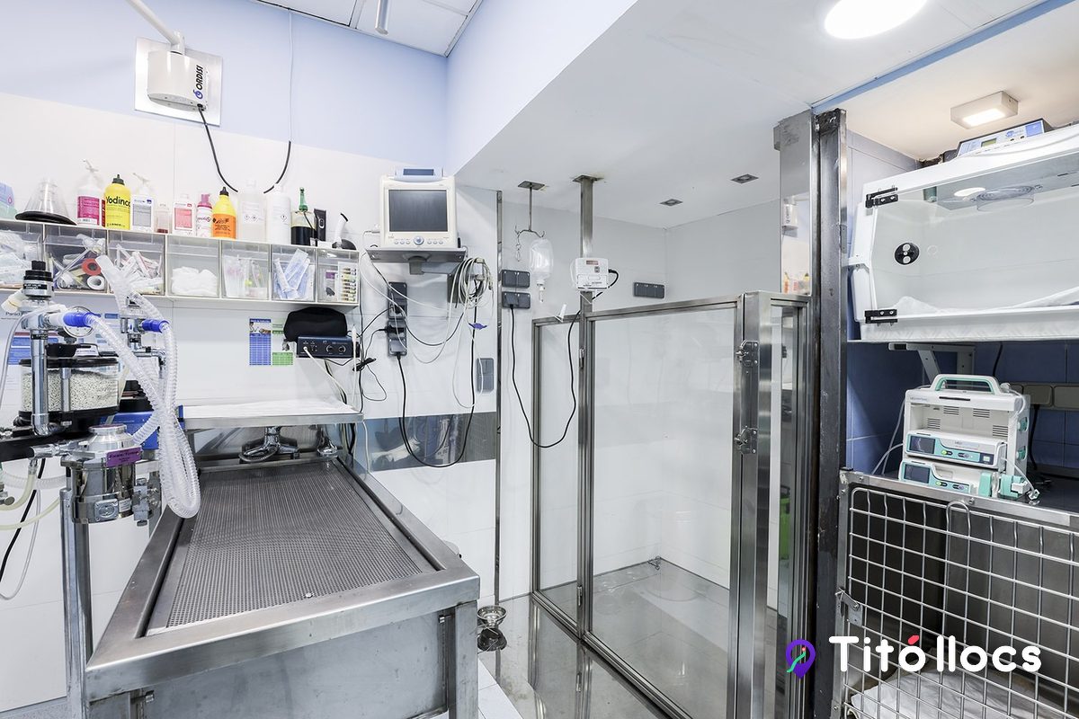 La sala de cirurgia de la clínica, amb taula d'acer, aparell d'anestèsia i gàbies de recuperació