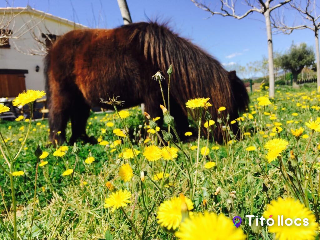 Les Set Cabretes, Refugi d'animals de granja rescatats a Botarell