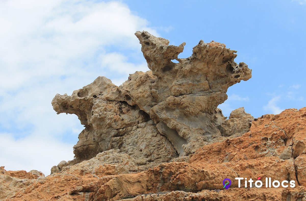 Formació rocosa de s'Àguila, al Paratge de Tudela del cap de Creus