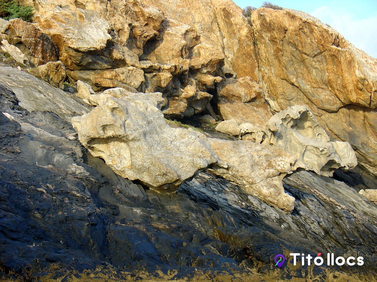 Roca clara de pegmatita sobre els esquistos foscos del cap de Creus