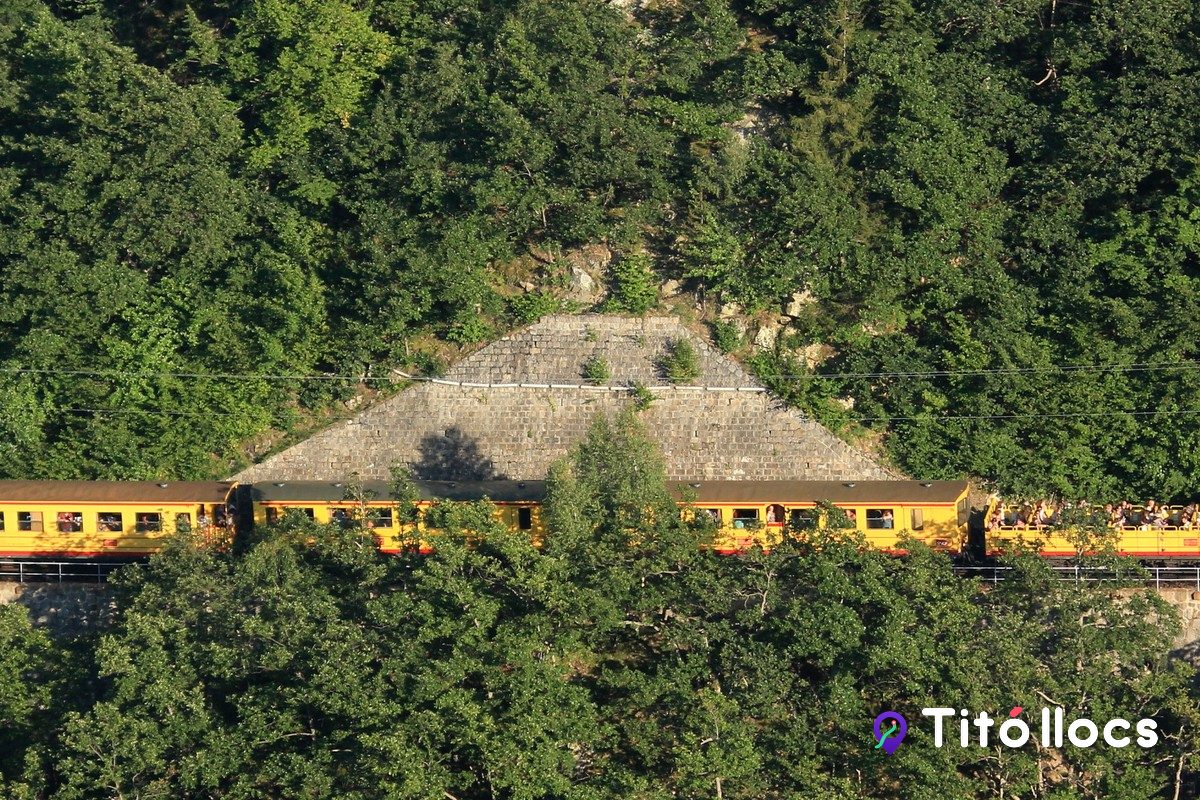 El Tren Groc travessant un viaducte entre els boscos dels Pirineus catalans