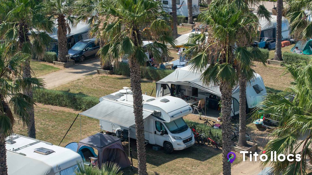 Parcel·les del Camping Las Dunas entre palmeres, amb tendes i caravanes