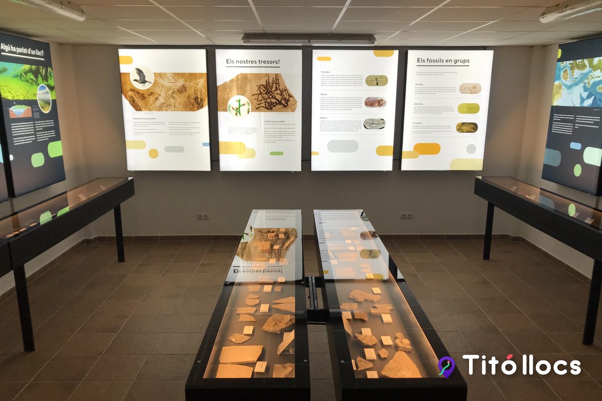 Dinosfera de Coll de Nargó, El museu dels ous de dinosaure de Coll de Nargó