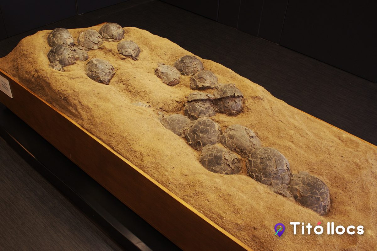 El niu de dinosaure més gran d'Europa, a Dinosfera