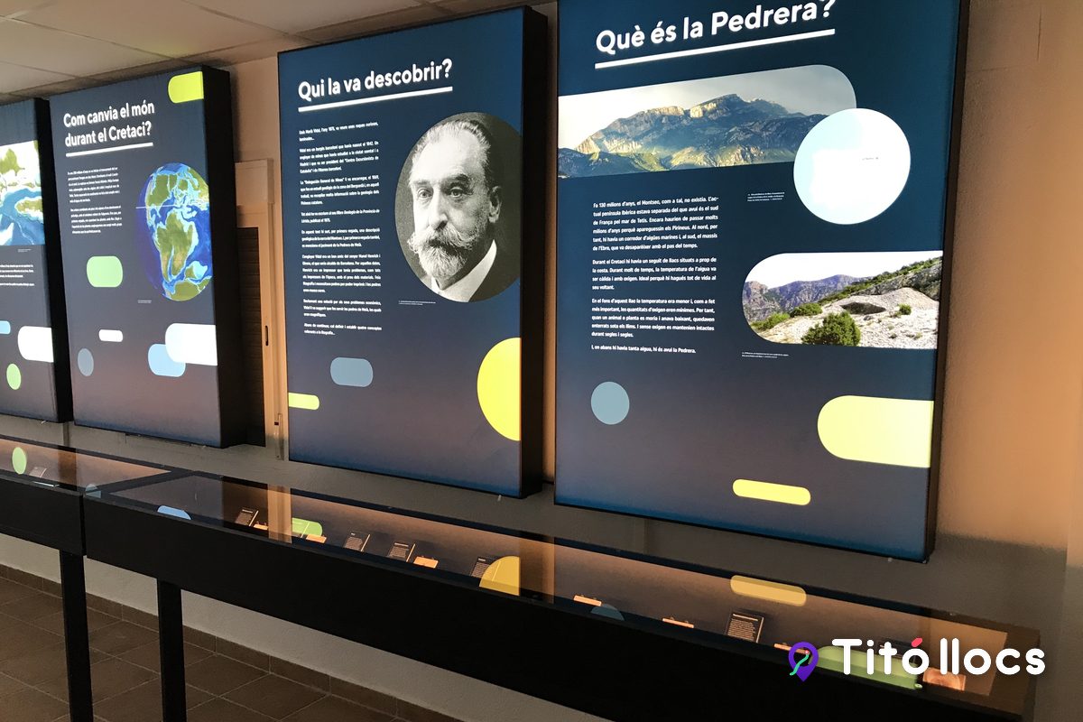 Panells de l'exposició permanent sobre la reproducció dels dinosaures, a Dinosfera