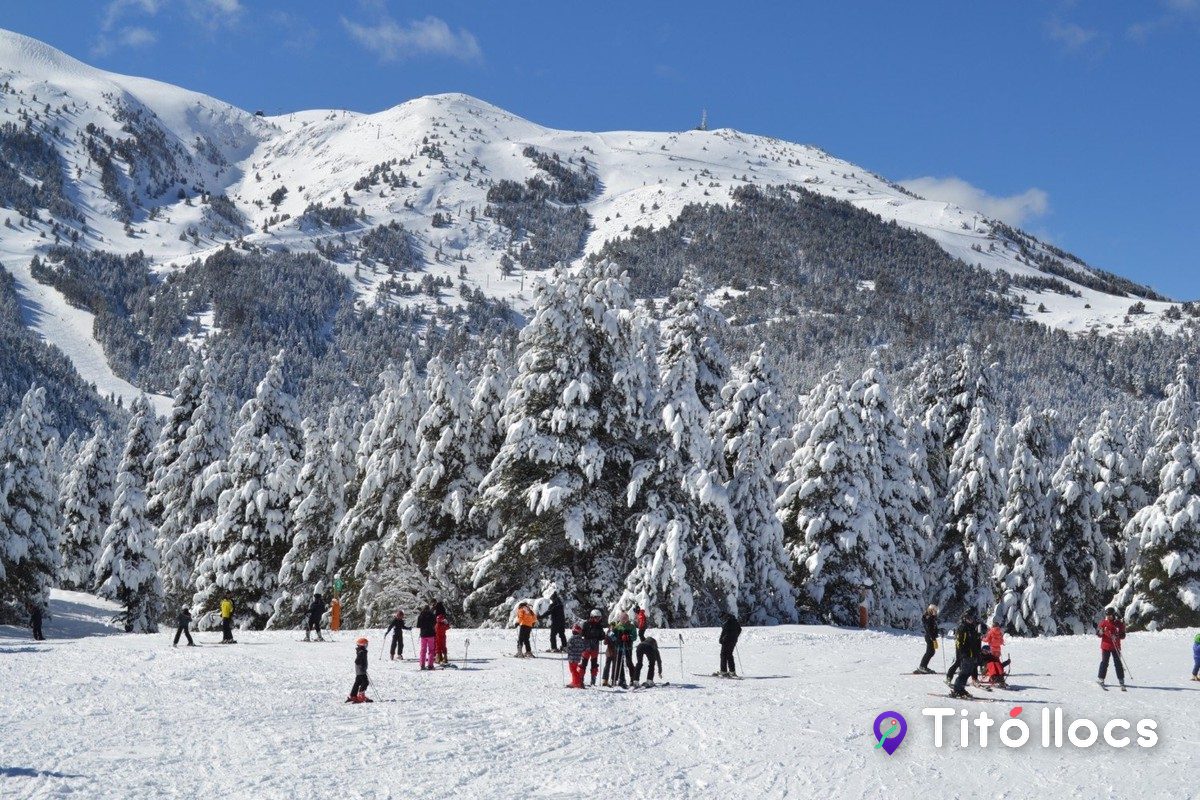 Pista d'esquí de La Molina amb pins coberts de neu i visitants llunyans al fons