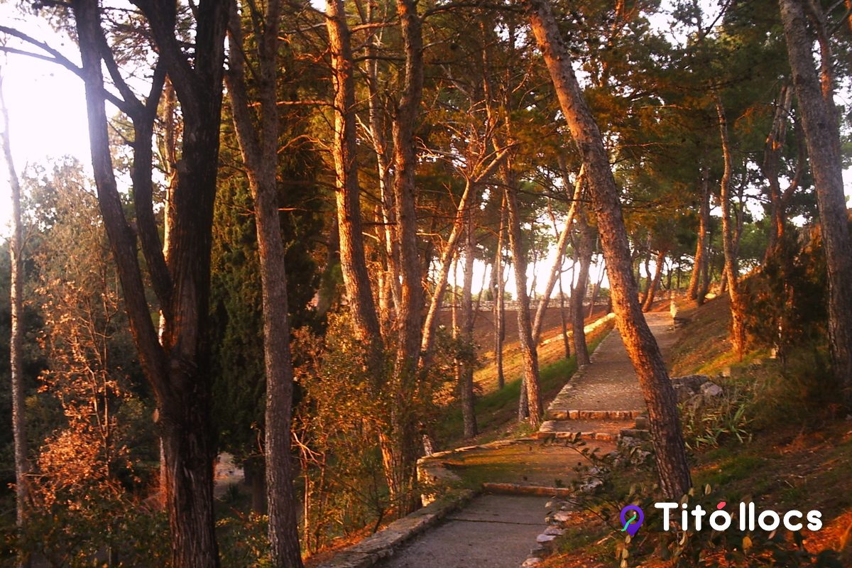 Parc de Sant Eloi, Tàrrega, Passeig entre xiprers amb vistes de Tàrrega