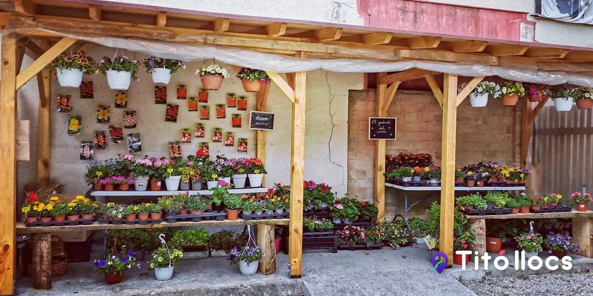 El Jardinet del Casal, El racó de les plantes al peu del casal de Sant Vicenç