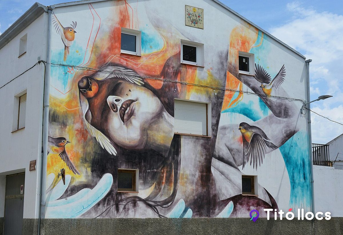 Mural d'una cara gran amb ocells pintada a la façana d'una casa, a Murals de Penelles