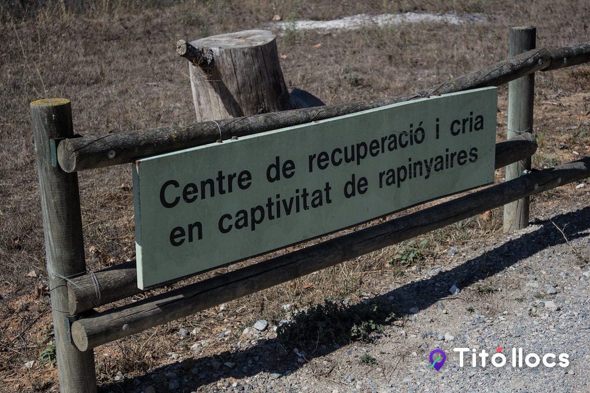 Rètol de fusta del Centre de recuperació i cria en captivitat de rapinyaires, a Torreferrussa